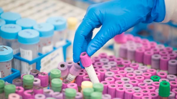 Pathology & Laboratory